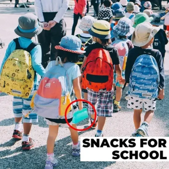 2Pack Reusable Silicone Food Storage Snacks Bags, Dishwasher and Microwave Safe, Plastic and BPA Free by Innovative Technology Products Corp image {6}