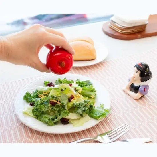 Silver Buffalo Disney Snow White and Apple Ceramic Salt and Pepper Shaker Set image {7}