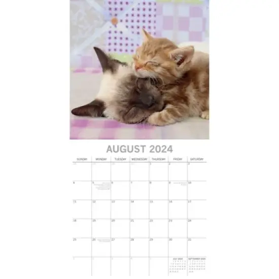 The Gifted Stationery 2024 Square Wall Calendar, Cats & Kittens, 16-Month Animals Theme with 180 Reminder Stickers (12 x 12 In) image {2}