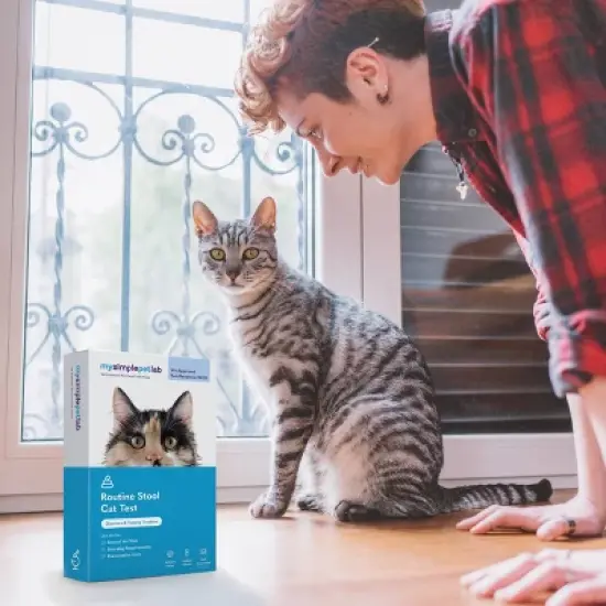MySimplePetLab Cat Routine Stool Test Kit image {3}