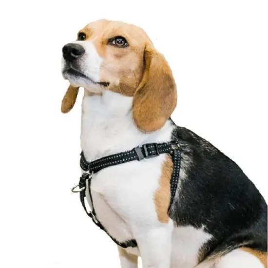 Premier Pet Step-In Adjustable Dog Harness - Black image {3}