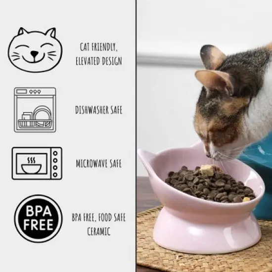 Park Life Designs 2c Oscar Tilt Cat Bowl - Black image {5}