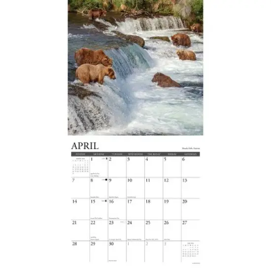 Willow Creek Press 2024 Wall Calendar 12"x12" Alaska image {2}