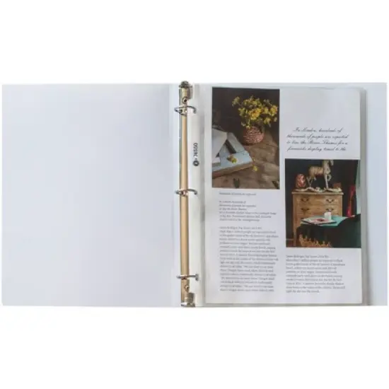 Business Source Top Loading Poly Sheet Protectors image {2}