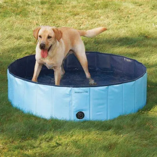 Cool Pup Splash About Portable Dog Pools image {6}
