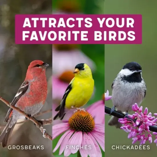 Melody Select 5lb Waste Free Nut & Fruit Wild Bird Food: Shell-Free, Sunflower Hearts, Peanuts image {6}