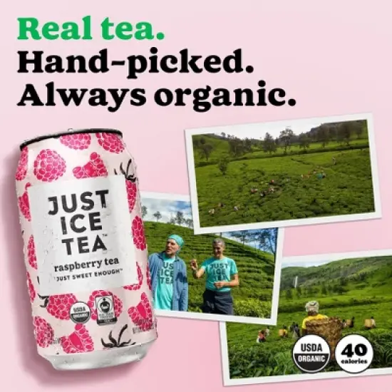 JUST ICE TEA Raspberry Black Tea - 4pk/12 fl oz Cans image {4}