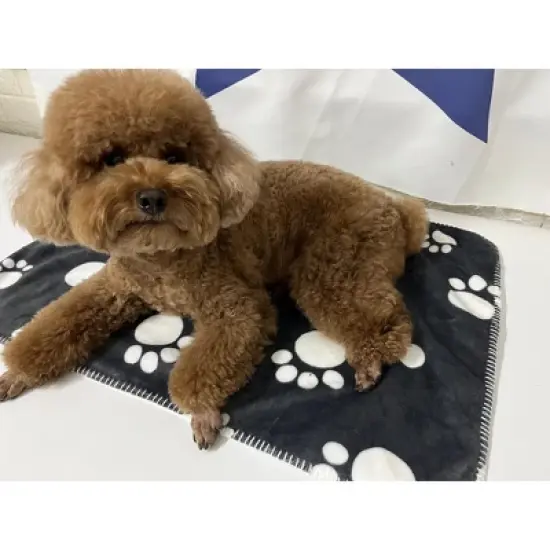 Kritter Planet Waterproof Blanket for Dogs Cats, Washable Furniture Protector Reversible Fleece Couch Cover, Ideal for Indoor Outdoor Use image {3}