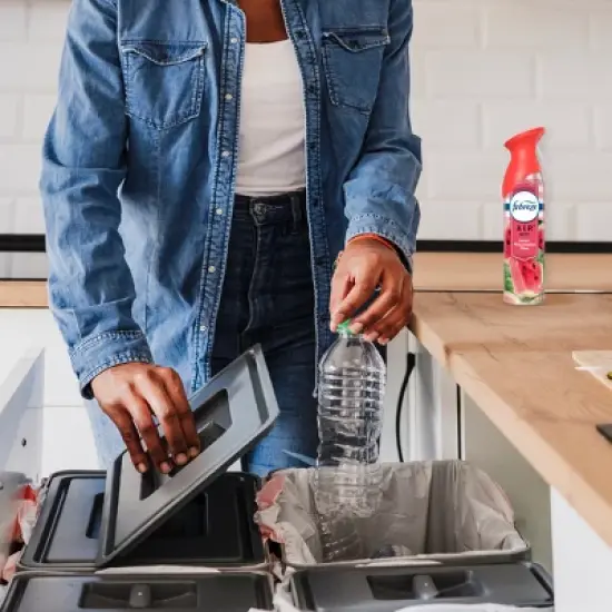 Febreze Air Mist - Sweet Watermelon Vine - 17oz/2ct image {5}