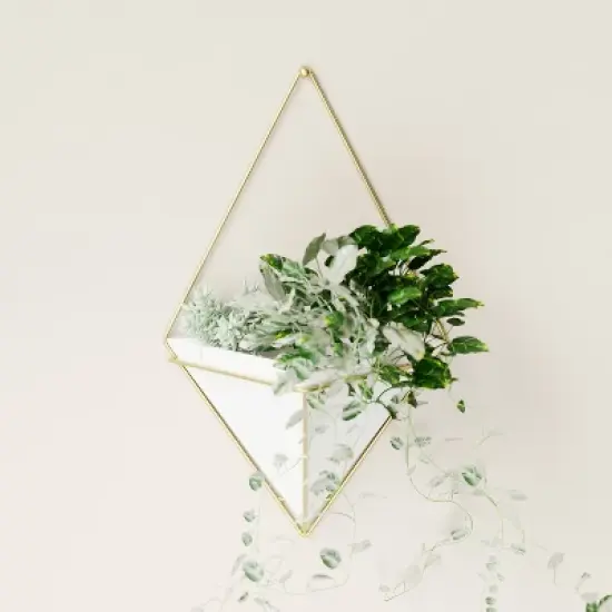 Trigg Wall Display Planter White/Brass - Umbra image {9}
