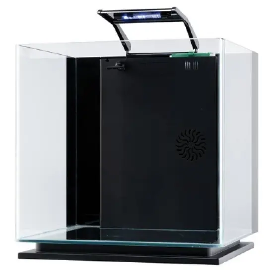 GloFish Glass Aquarium Kit 10gal Includes LED Decor and Filter Aquarium and Terrarium Tools image {10}