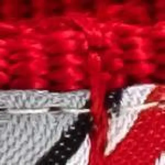 The License House Ohio State Buckeyes Dog Stripe Athletic Logo Collar image {2}