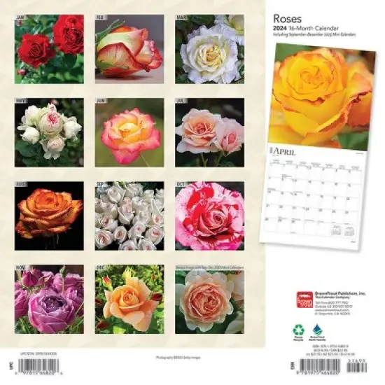 Browntrout 2024 Wall Calendar 12"x12" Roses image {1}