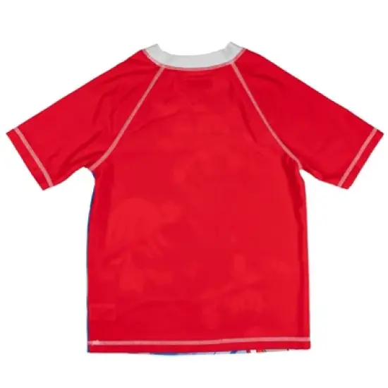 SEGA Sonic the Hedgehog Knuckles Tails Sonic The Hedgehog Rash Guard and Swim Trunks Outfit Set Little Kid to Big Kid  image {3}