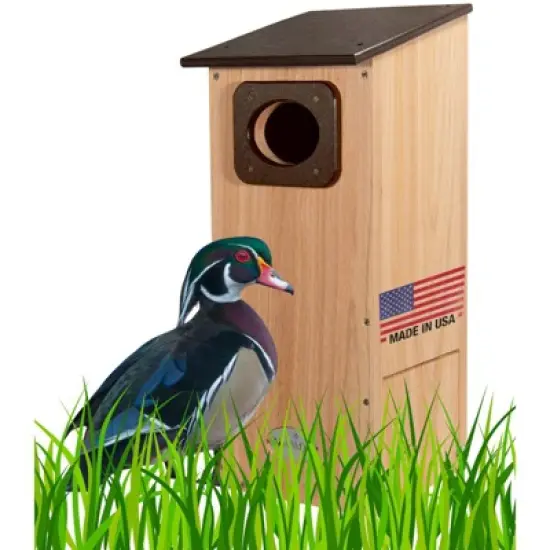 JCS  Wildlife Cedar Wood Duck House with Recycled Poly Lumber Roof and Predator Guard image {10}