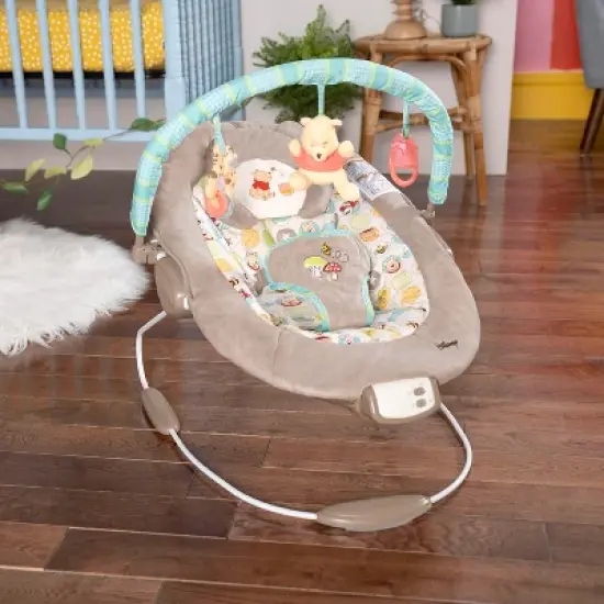 Bright Starts Winnie the Pooh Dots and Hunny Pots Baby Bouncer image {7}