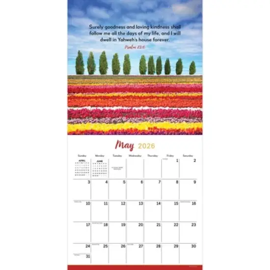 TF Publishing 13.5"x14.5" 2026 Psalms Wall Calendar image {5}