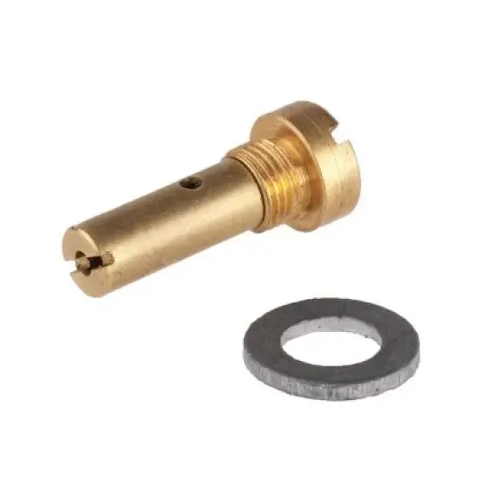 Petromax Pump Valve with Washer for HK150/HK250/HK350/HK500 Pressure Lanterns, Includes 2 Pieces for Petromax Lamps image {1}