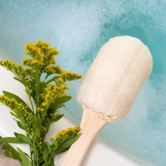 EcoTools Loofah Bath Brush image {4}