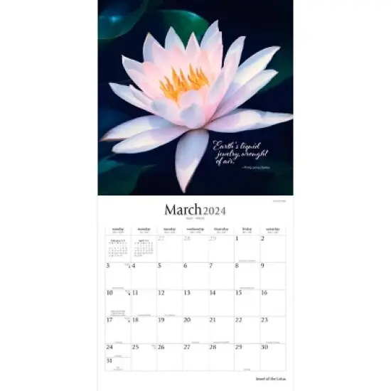 Brush Dance 2024 Wall Calendar 12"x12" Jewel of the Lotus image {2}