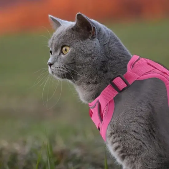 Unique Bargains Cat Harness and Leash with Reflective Strips Large Rose Red 1 Set image {4}