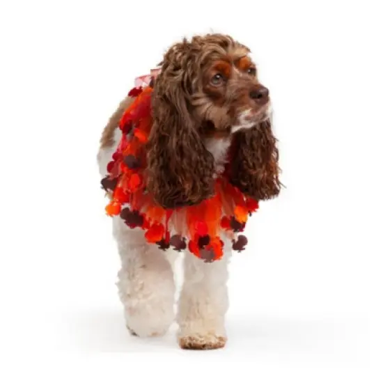 Midlee Thanksgiving Turkey Decorative Dog Collar image {1}