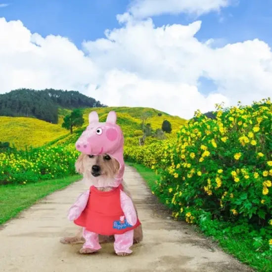 Peppa Pig Pet Costume image {2}