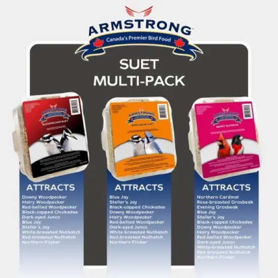 Armstrong Wild Bird Food Suet Cake Variety Pack, 31.8oz (Pack of 3) image {1}