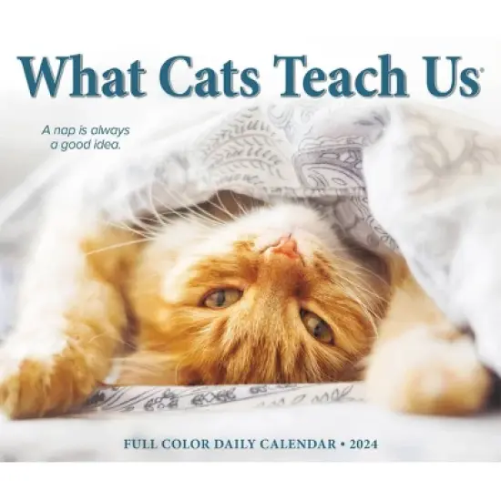 Willow Creek Press 2024 Daily Desk Calendar 5.2"x6.2" What Cats Teach Us image {4}