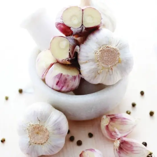 Van Zyverden 3ct Cloves Garlic Hardneck Porcelain Musik image {3}