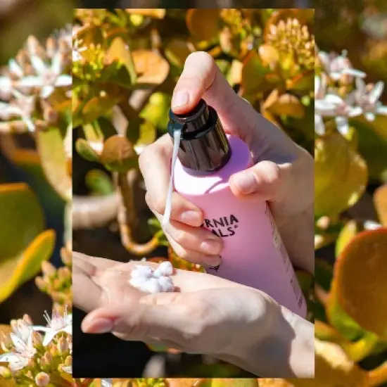 California Naturals Leave-In Conditioner & Detangler - 6 fl oz image {6}