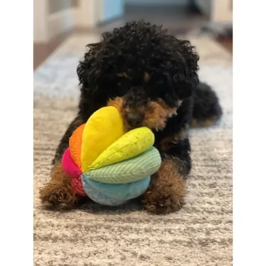 HABA Rainbow Fabric Ball - Machine Washable with 8 Different Sensory Effects image {8}