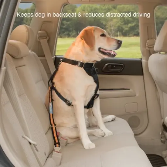Kurgo Direct to Seatbelt Tether Dog Containment Accessories image {3}