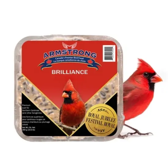 Armstrong Wild Bird Food Royal Jubilee Brilliance Suet Cake, 10.6oz (Pack of 3) image {1}