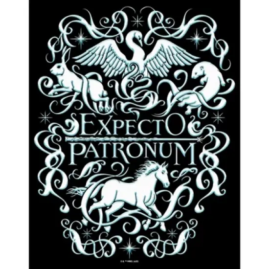 Women's Harry Potter Expecto Patronum Animals T-Shirt image {1}