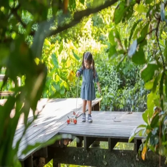 Plantoys| Happy Puppy image {5}