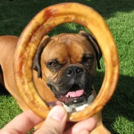 Pawstruck All-Natural Bully Stick Rings for Dogs - Single Ingredient Rawhide Free Dental Chew Treats Made with 100% Real Beef image {5}