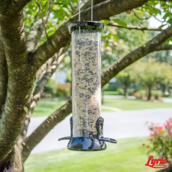 Lyric 40lb Outside Bird Seed Feeder Wild Bird Food: Attracts Cardinals, Finches, Jays image {7}