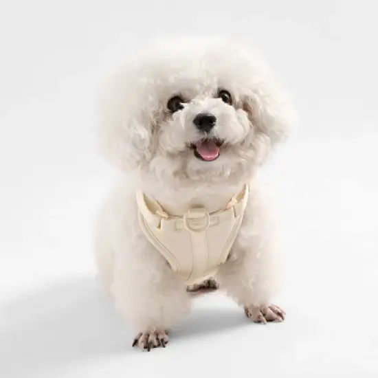 THE LICKER STORE Arlo Adjustable Soft Padded No Pull Pet Harness with 3 Buckles and 3 Leash Clips image {5}