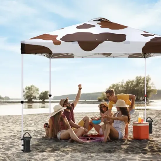 EAGLE PEAK 10x10 Pop Up Canopy Instant Tent w/ 4 Weight Bags image {16}