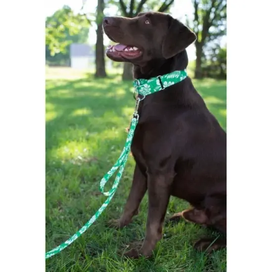 Country Brook Petz Kelly Green Hawaiian Martingale Dog Collar image {1}