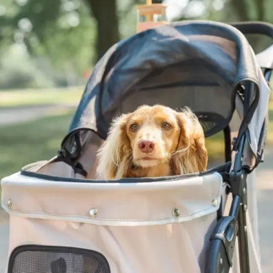 Carlson Dog Stroller - Black/Tan S image {2}