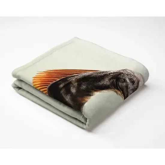 Jurassic World Twin Bed Blanket image {5}