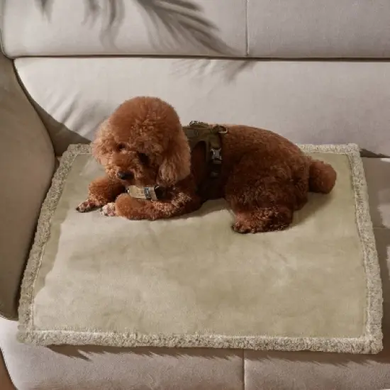 Kritter Planet Waterproof Pet Blanket for Dog Cat, Reversible Cover Blanket for Couch Bed, Ideal Furniture Protector for All Pets image {8}