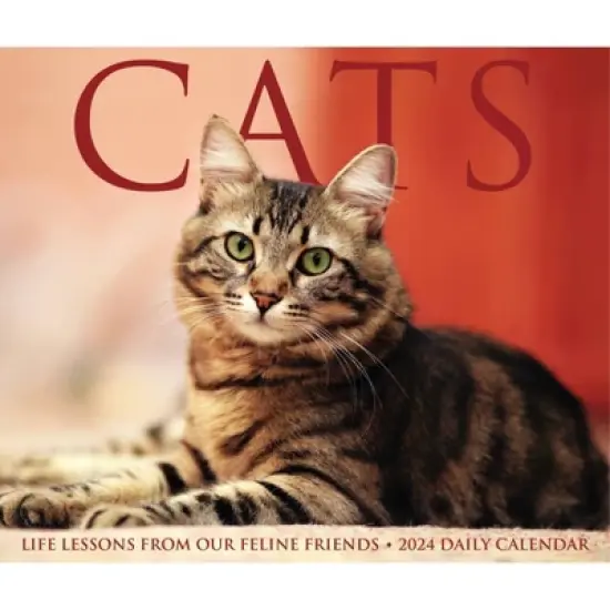 Willow Creek Press 2024 Daily Desk Calendar 5.2"x6.2" Cats image {4}