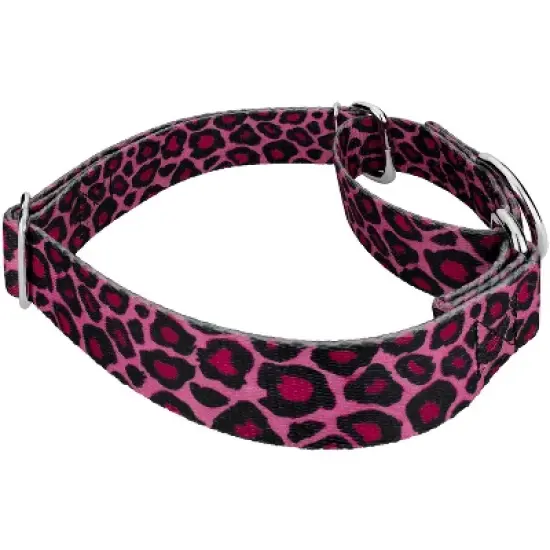 Country Brook Petz Pink Leopard Print Martingale Dog Collar and Leash image {3}