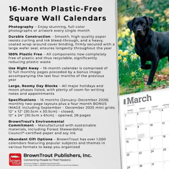 BrownTrout Black Labrador Retrievers 2026 12"x24" Hanging Square Wall Calendar Plastic-Free image {5}