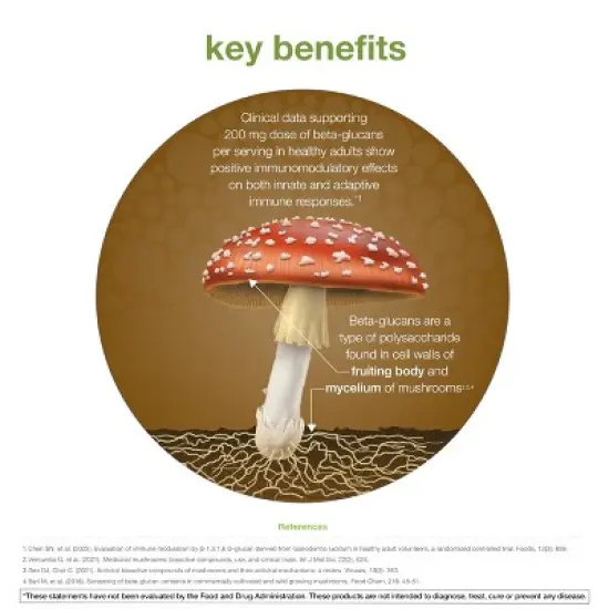 Youtheory Mushroom Immune Complex - Organic Mushroom Blend with Chaga, Cordyceps, Lion's Mane, Maitake & More - 60 Vegetarian Capsules image {2}