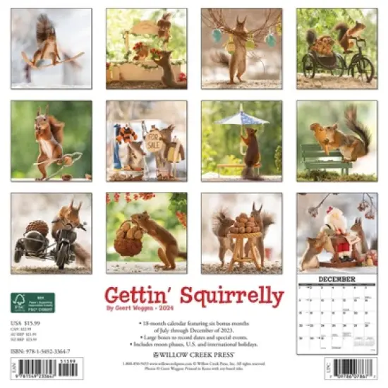 Willow Creek Press 2024 Wall Calendar 12"x12" Gettin' Squirrelly image {1}