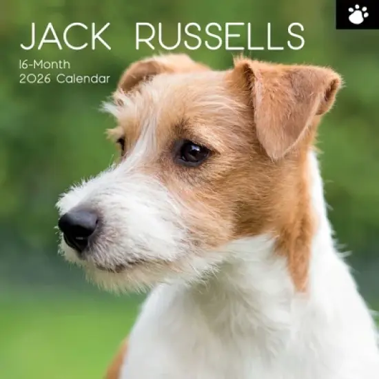 2026 Square Wall Calendar, Jack Russells, 16-Month Paw Prints Theme with 180 Reminder Stickers (12x12 In) image {4}
